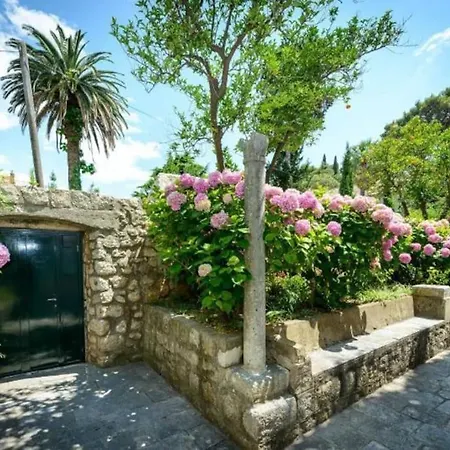 The Soldo's Apartamento