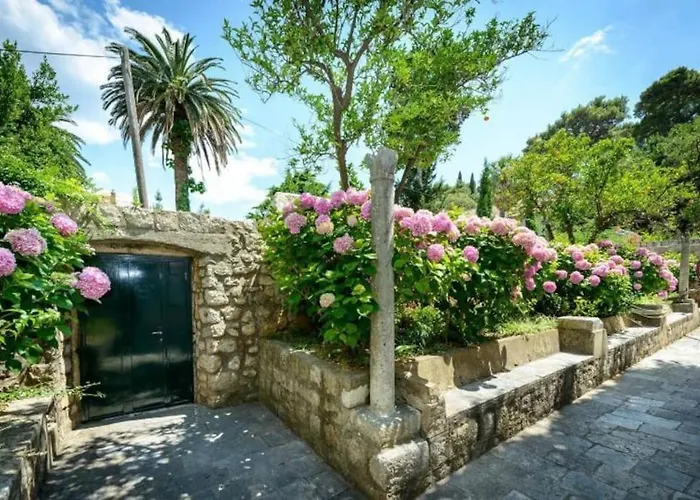 The Soldo's Apartament