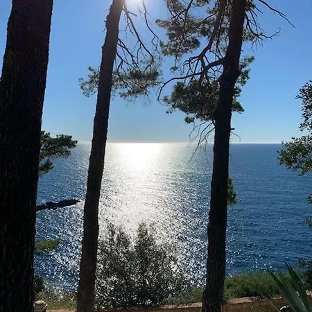 The Soldo's * Дубровник